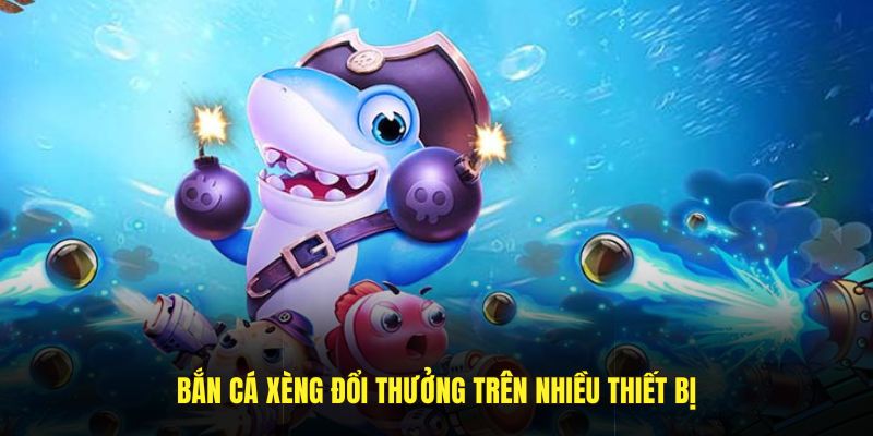 ban-ca-xeng-3