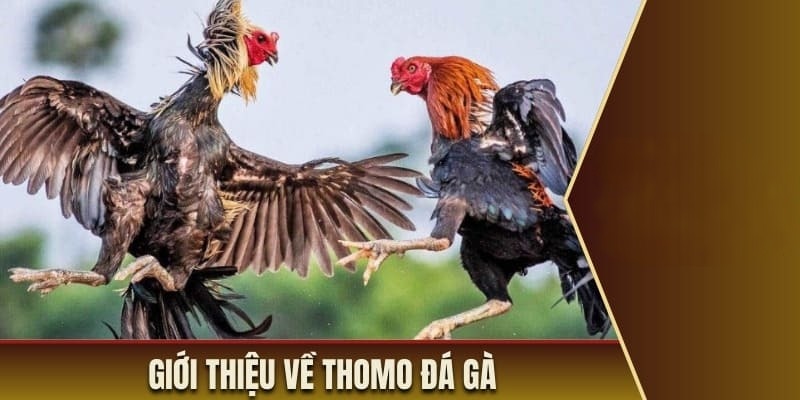 da-ga-thomo-2