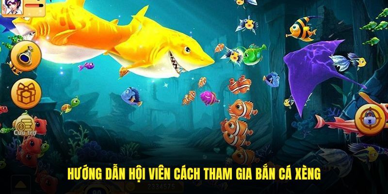 ban-ca-xeng-4