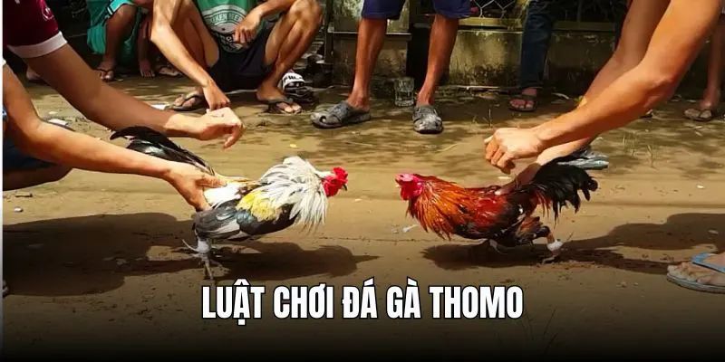 da-ga-thomo-3