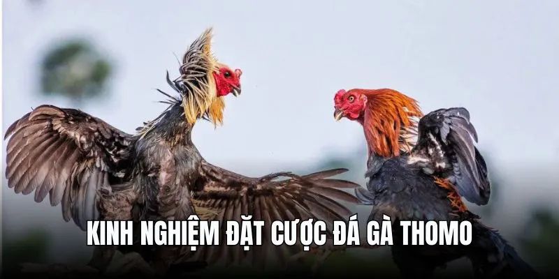 da-ga-thomo-4