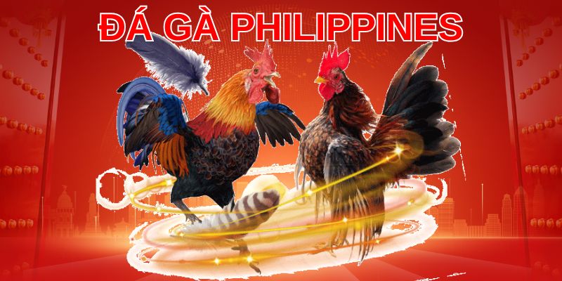 da-ga-philippines-3