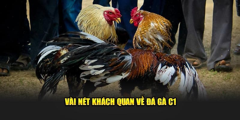 da-ga-c1-2